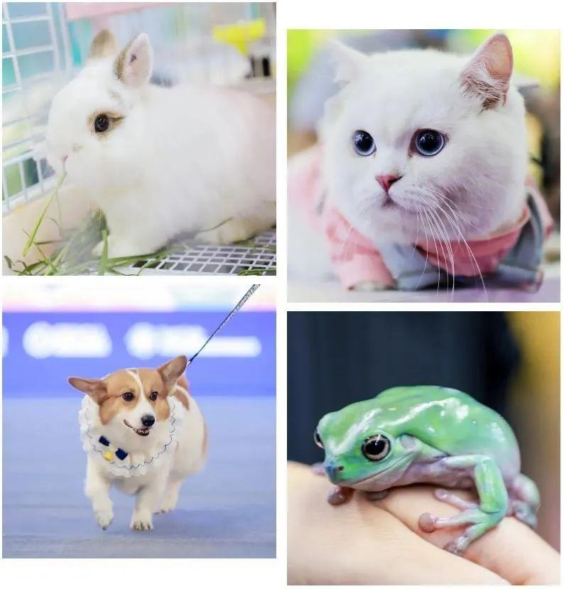 7.png