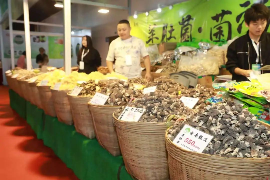 微信图片_20241104111234.jpg