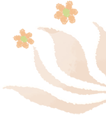 微信图片_20241125123649.png
