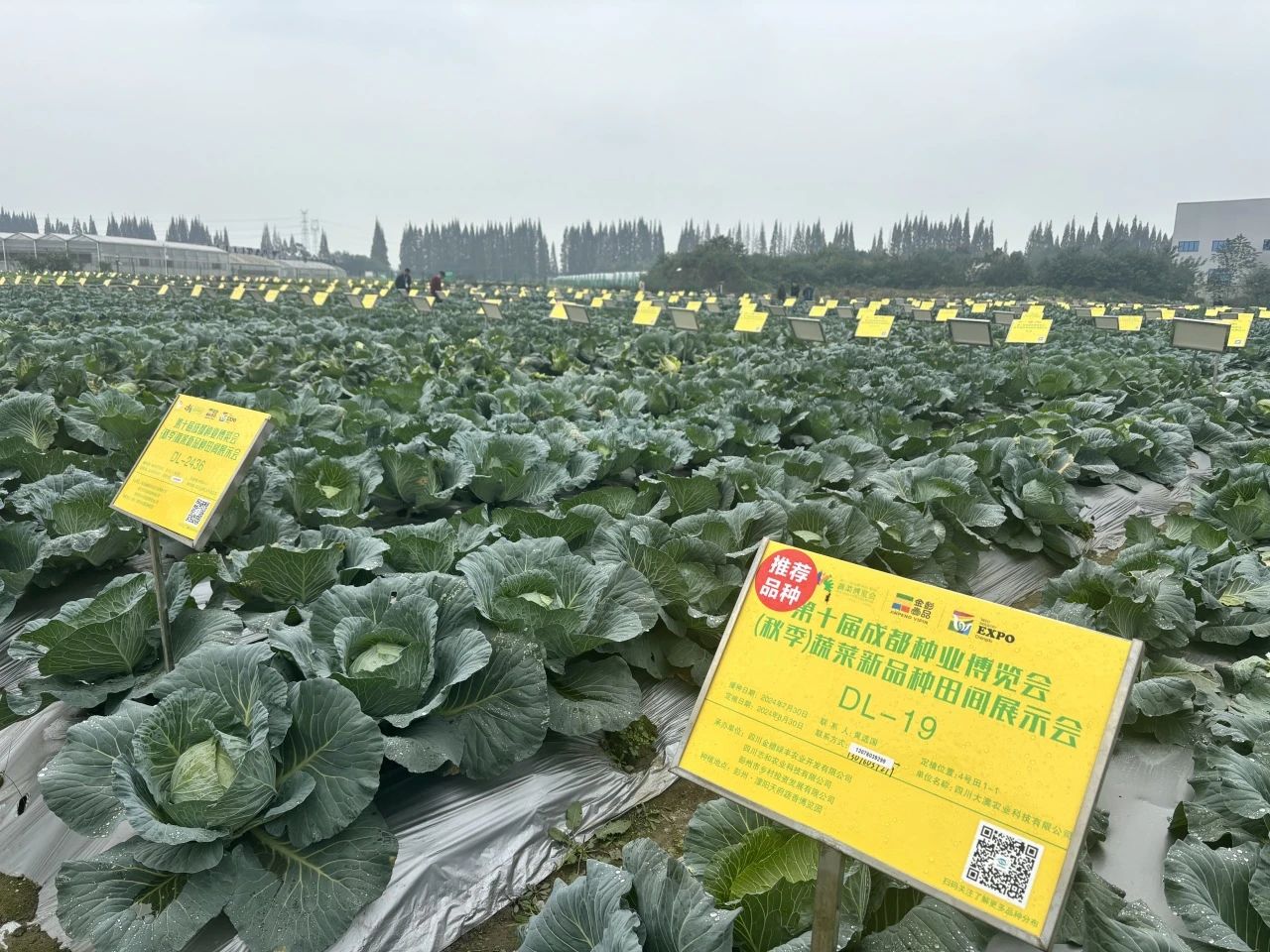 微信图片_20241126102917.jpg