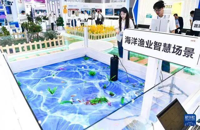 微信图片_20241206175303.jpg