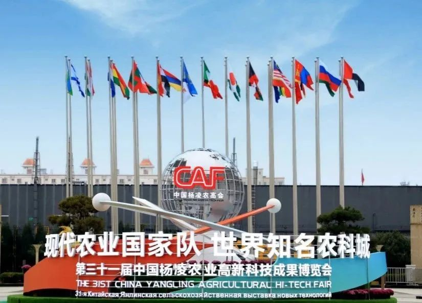微信图片_20250207153138.png