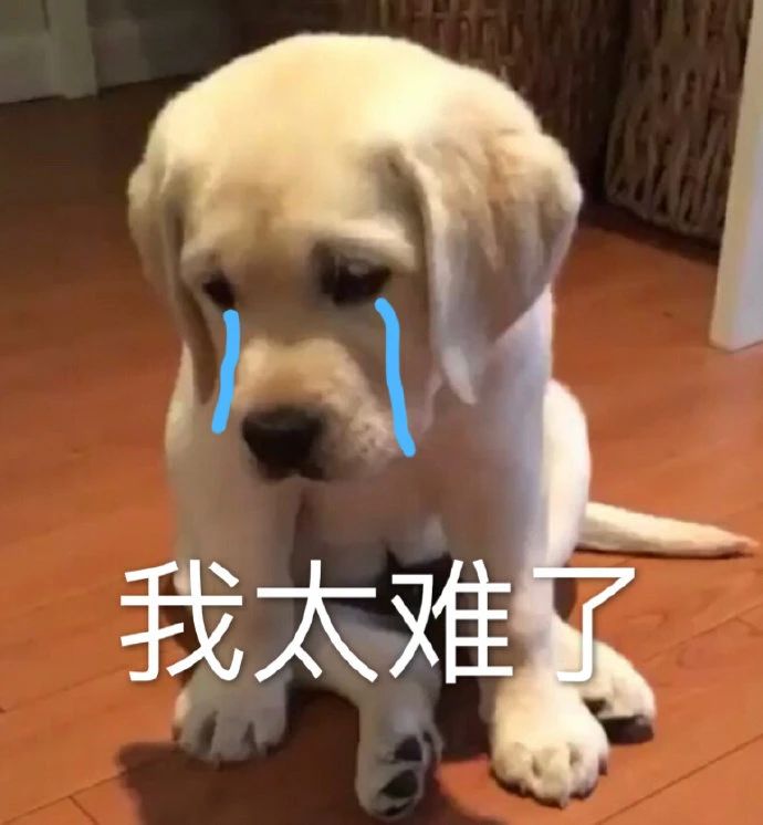 微信图片_20250211104559.jpg