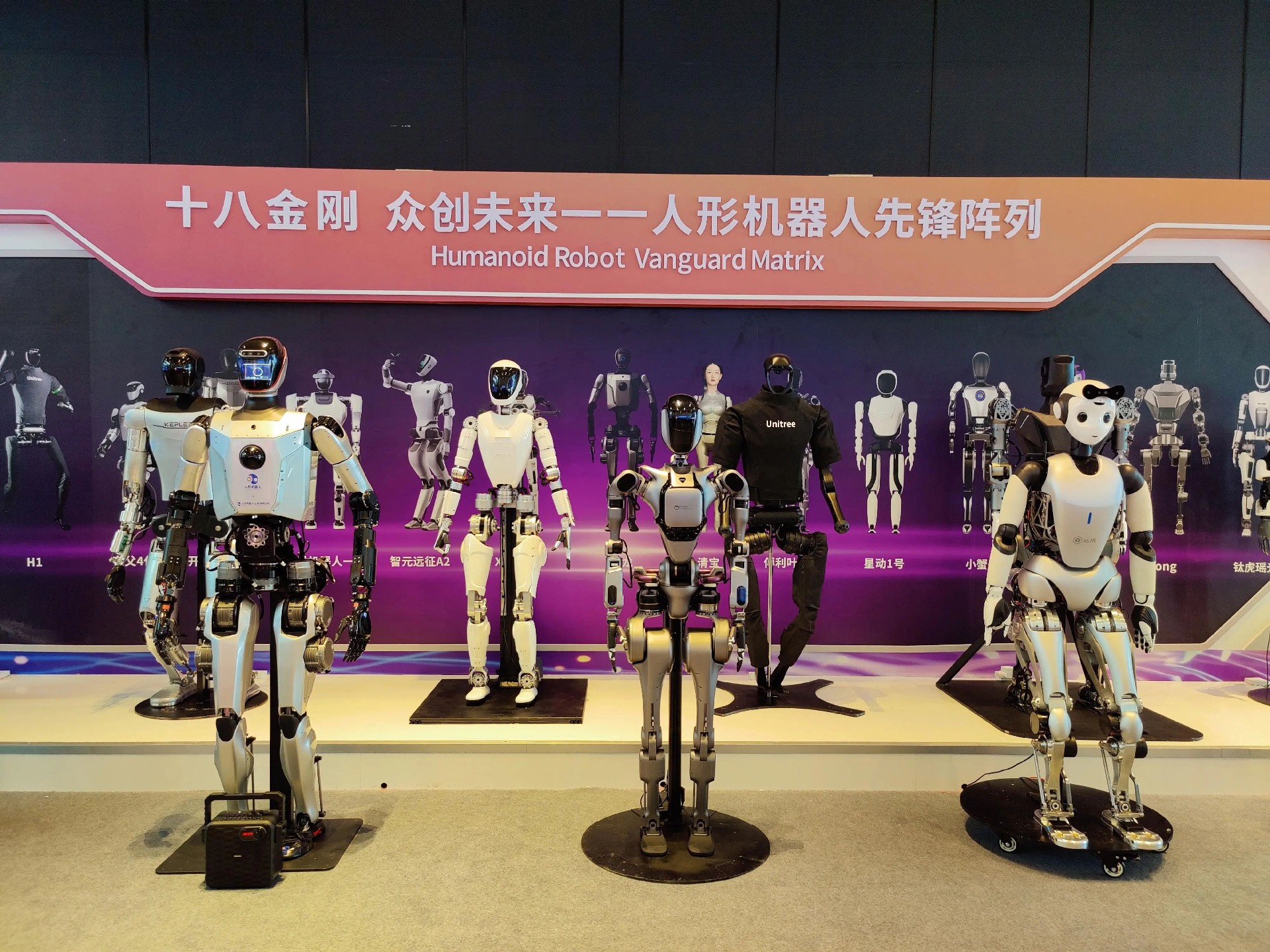 微信图片_20250212112038.jpg