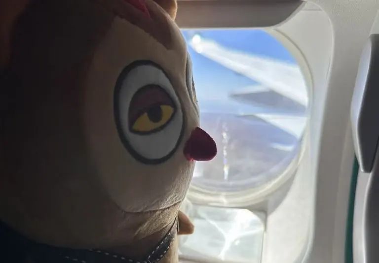 微信图片_20250213113026.jpg