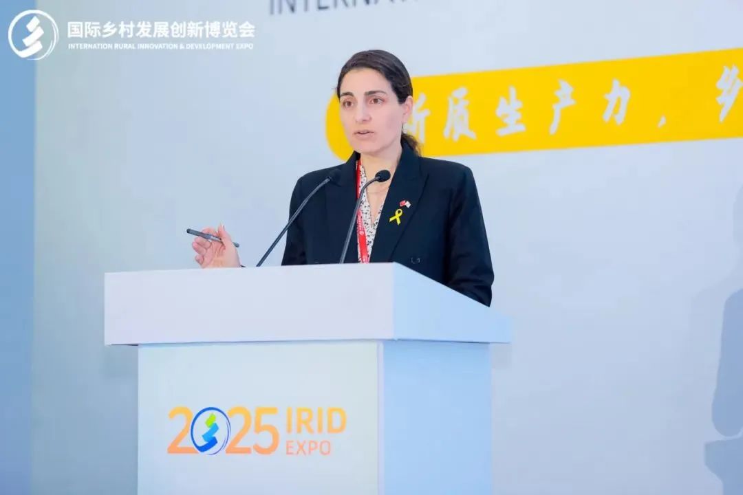 微信图片_20250401130229.jpg