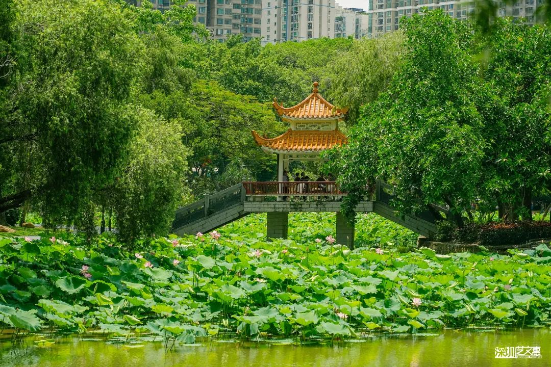 微信图片_20250616142301.jpg