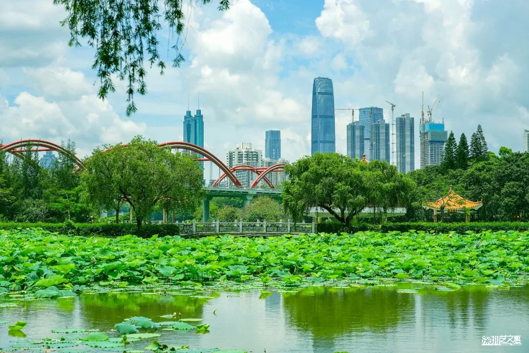 微信图片_20250616142307.jpg