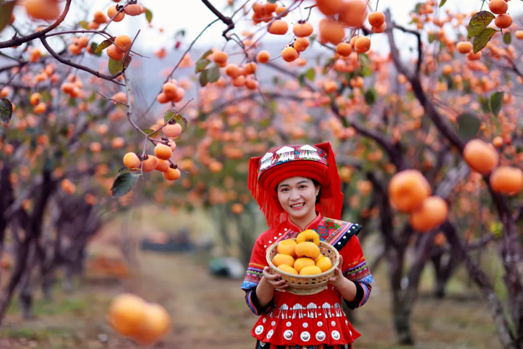 微信图片_2025-10-22_173858_626.png